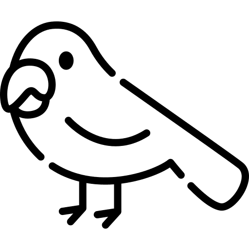 Parrot bird nature zoo icon Parrot bird nature zoo icon