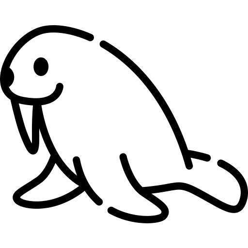 Walrus zoo animal animals icon Walrus zoo animal animals icon