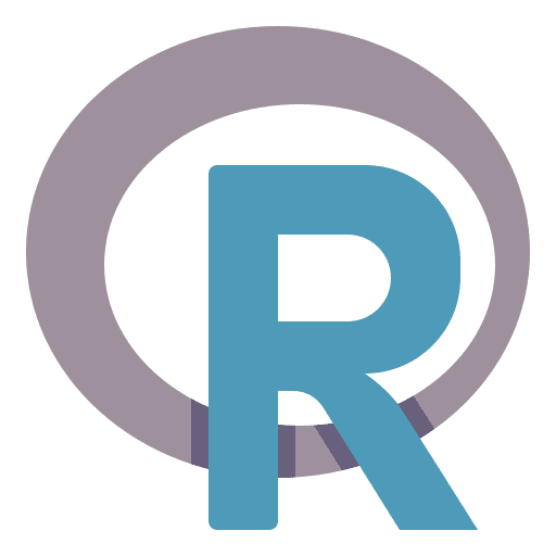 R analysis computer data icon
