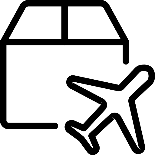 Airplane delivery transport cargo icon