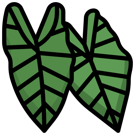 Alocasia leaf ecology home icon Alocasia leaf ecology home icon