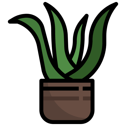 Aloe vera plant leaf wellness farming and gardening icon Aloe vera plant leaf wellness farming and gardening icon