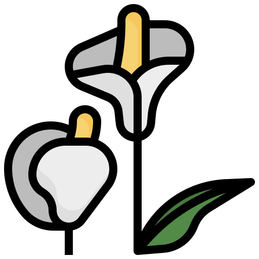 Araceae flower nature ecology icon Araceae flower nature ecology icon