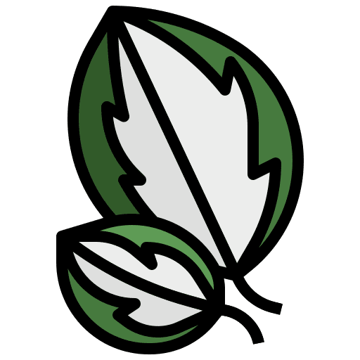 Calathea botanical ecology exotic icon Calathea botanical ecology exotic icon