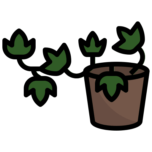 English ivy english ivy nature farming and gardening icon English ivy english ivy nature farming and gardening icon