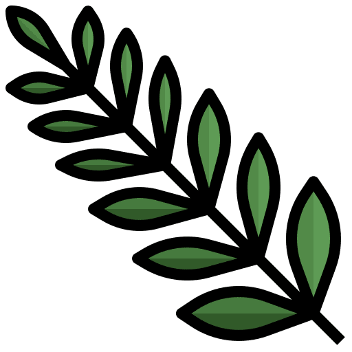 Fern plant ecology leaf nature icon