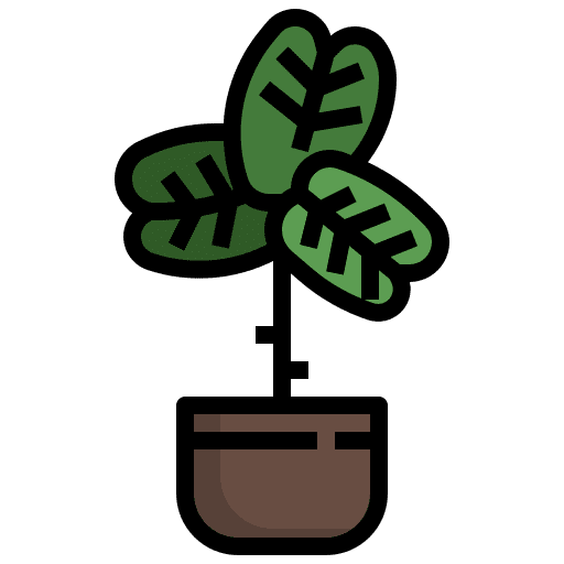 Fiddle fig pot flower leaf icon Fiddle fig pot flower leaf icon
