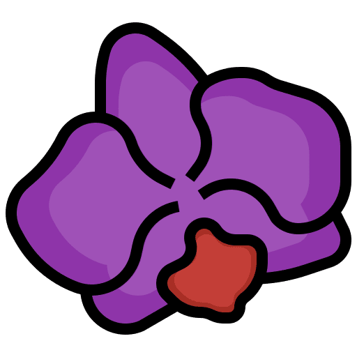Orchid exotic plant petals icon Orchid exotic plant petals icon