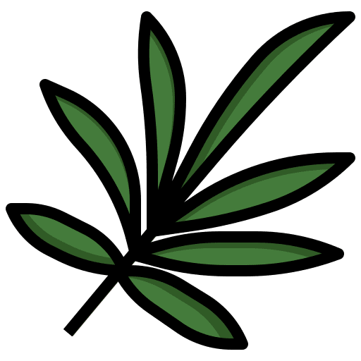 Palm exotic palm botanical icon