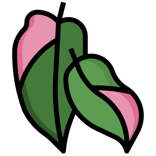 Philodendron leaf plant exotic icon Philodendron leaf plant exotic icon