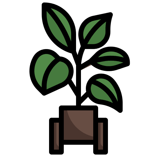 Rubber plant pot nature farming and gardening icon Rubber plant pot nature farming and gardening icon
