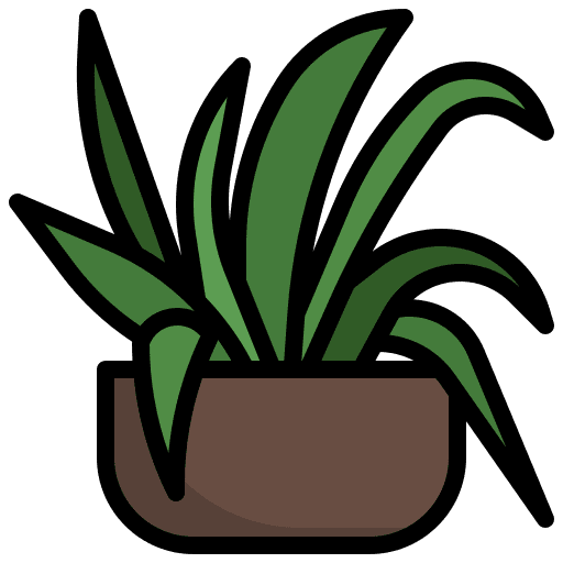 Spider plant ecology plant pot icon