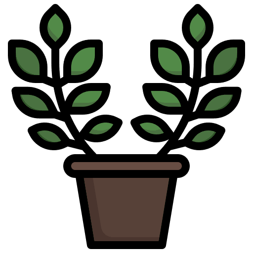 Zamioculcas ecology pot leaf icon Zamioculcas ecology pot leaf icon