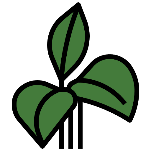 Dumb cane plant nature flower icon Dumb cane plant nature flower icon