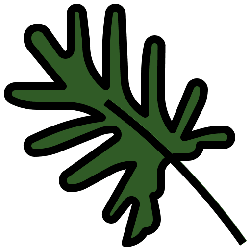 Philodendron xanadu philodendron xanadu plant nature icon Philodendron xanadu philodendron xanadu plant nature icon