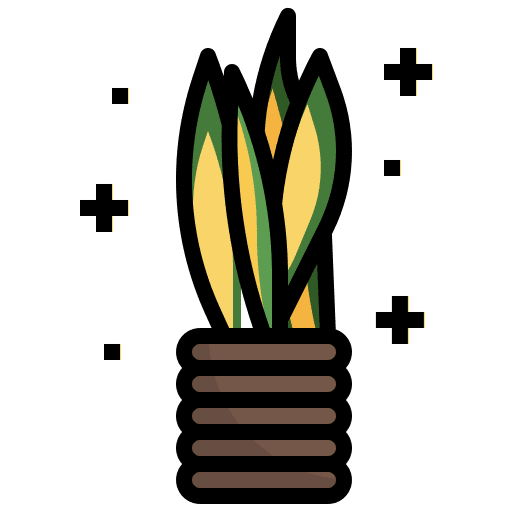 Variegated snake plant farming and gardening leaf nature icon Variegated snake plant farming and gardening leaf nature icon