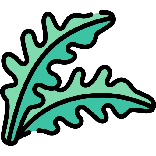 Arugula organic vegetables food icon