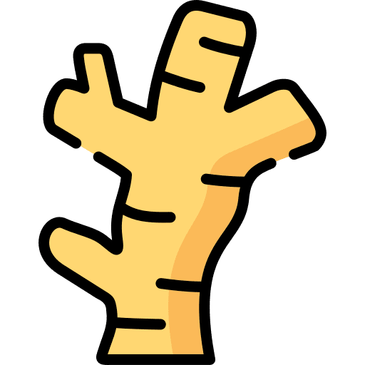 Ginger organic healthy food and restaurant icon Ginger organic healthy food and restaurant icon