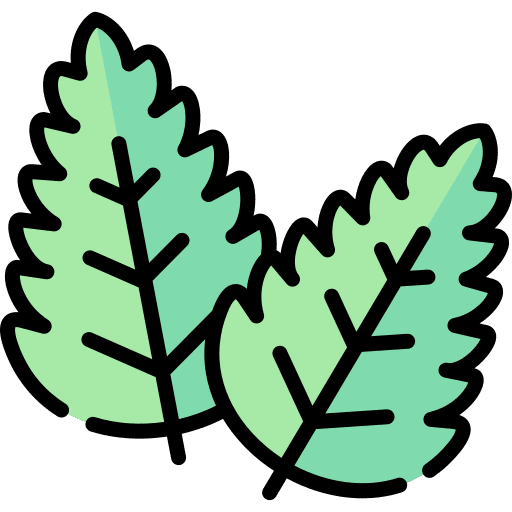 Mint vegan mint plant icon