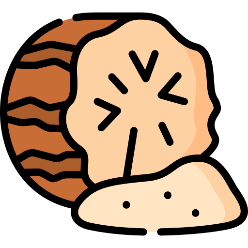 Nutmeg food and restaurant nutmeg asian icon