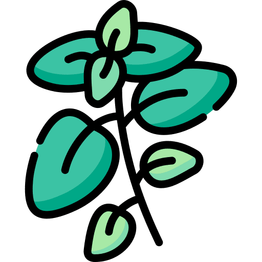 Oregano nature spice oregano icon