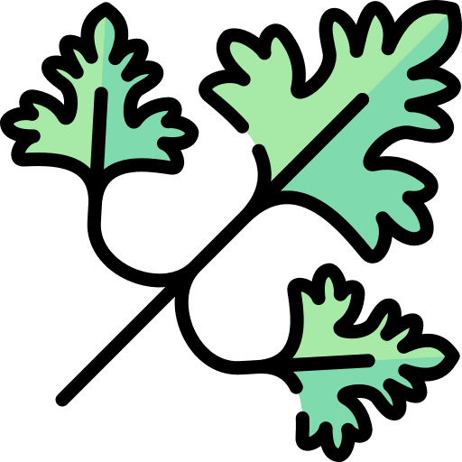 Parsley floral petals botanical icon Parsley floral petals botanical icon