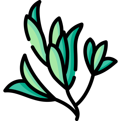 Savory plant savory food and restaurant icon Savory plant savory food and restaurant icon