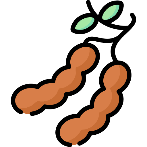 Tamarind organic healthy food food icon