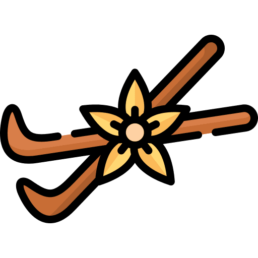 Vanilla nature aromatic therapy icon Vanilla nature aromatic therapy icon