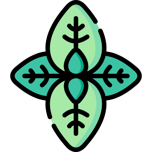 Basil herbs organic food and restaurant icon Basil herbs organic food and restaurant icon