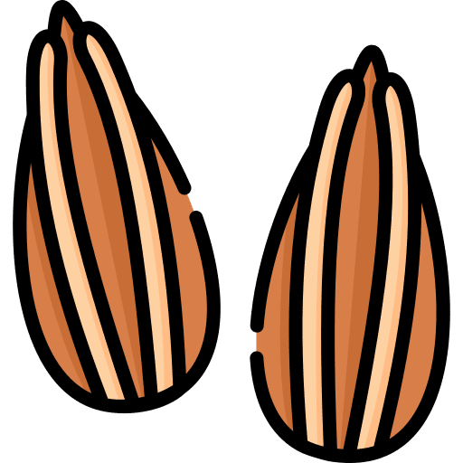 Cumin food nature food and restaurant icon Cumin food nature food and restaurant icon
