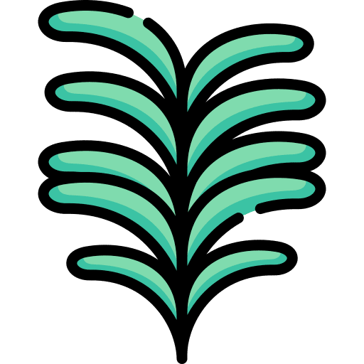 Rosemary aromatic food and restaurant aroma icon Rosemary aromatic food and restaurant aroma icon