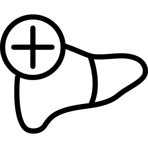 Liver organ with a plus sign outline medical plus icon