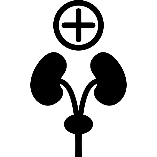 Plus sign and human organs medicine and health medical sign icon