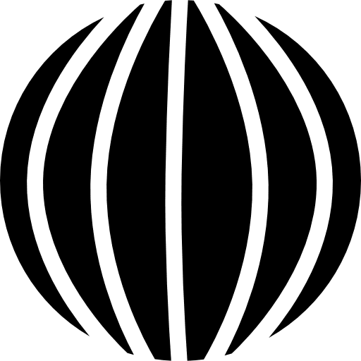 Spherical shape with vertical lines earth spherical lines icon