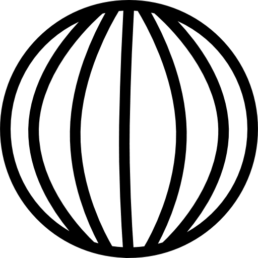 Earth globe with vertical lines grid shapes grid earth icons icon