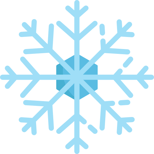 Snowflake nature cold flake icon