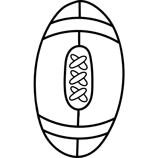 American football team sport sports and competition equipment icon