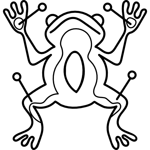 Frog wildlife animals frog icon