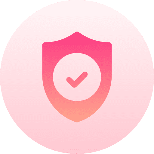 Shield protection safe check icon