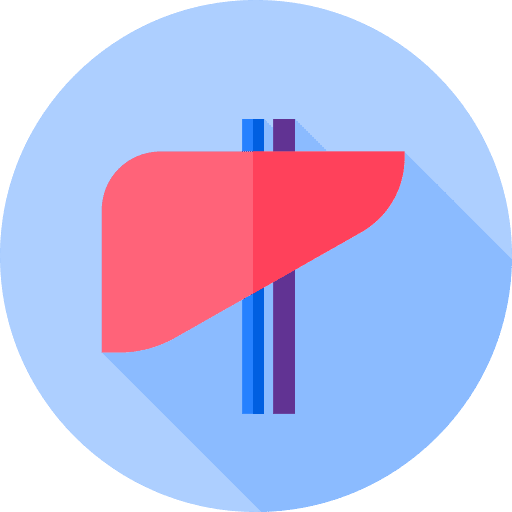 Liver liver body parts healthcare and medical icon Liver liver body parts healthcare and medical icon