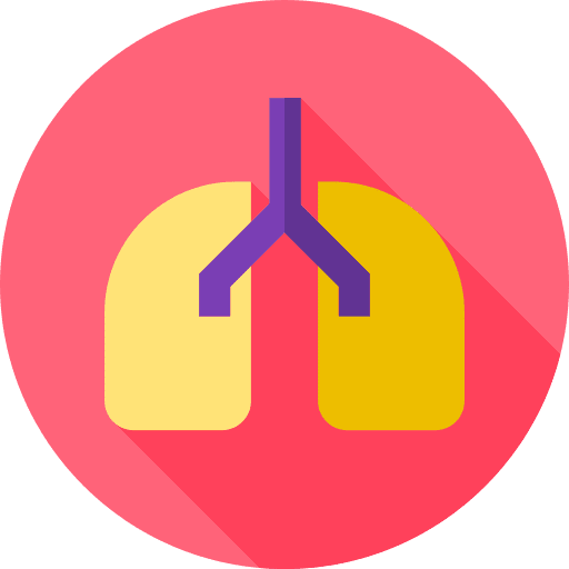 Lungs healthcare and medical lungs anatomy icon Lungs healthcare and medical lungs anatomy icon
