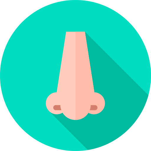 Nose operation smell nose icon Nose operation smell nose icon