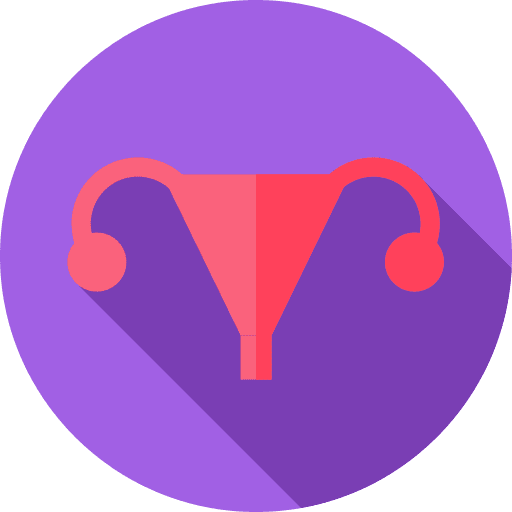 Womb anatomy womb female organs icon Womb anatomy womb female organs icon