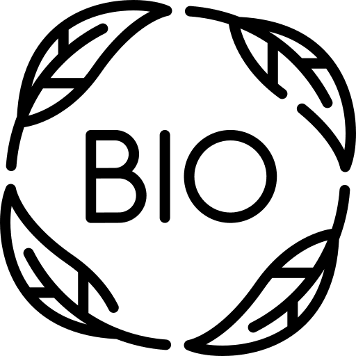 Bio ecological leaf nature icon