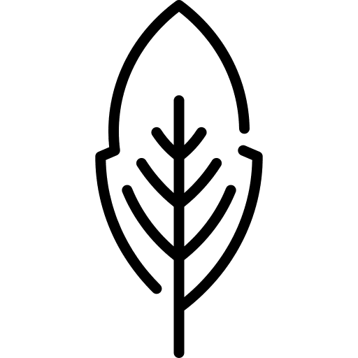 Leaf herb nature leaf icon Leaf herb nature leaf icon