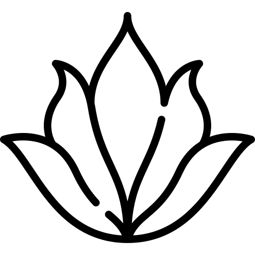 Aloe vera nature aloe vera plant icon Aloe vera nature aloe vera plant icon