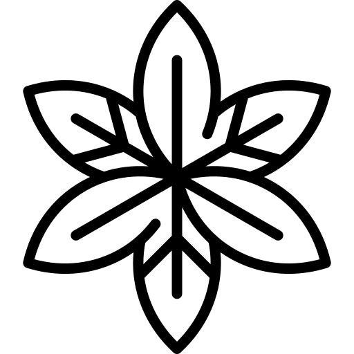 Leaves leaf natural plant icon Leaves leaf natural plant icon