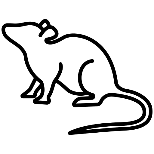 Mouse animals wildlife mouse icon