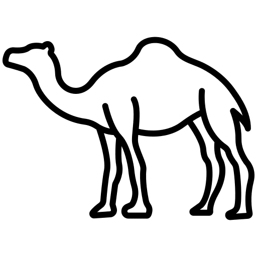 Camel animals nature mammal icon